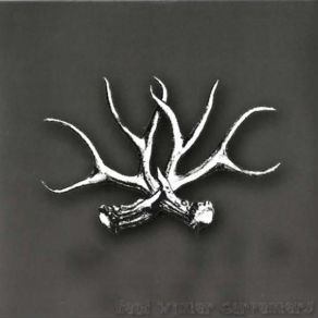 D. W. C album cover