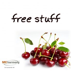 Free Stuff album cover