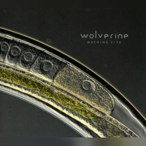 Machina Viva (Promo) album cover