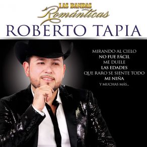 Las Bandas Románticas album cover