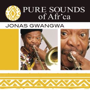 Pure Sounds Of Africa album cover