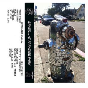 At Paradise Park album cover