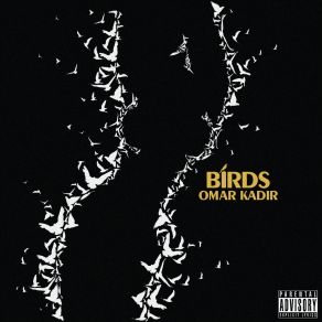 Birds (Single) album cover