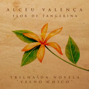 Flor De Tangerina (Single) album cover