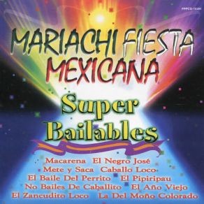 Super Bailables album cover