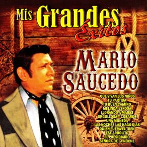 Mis Grandes Exitos album cover