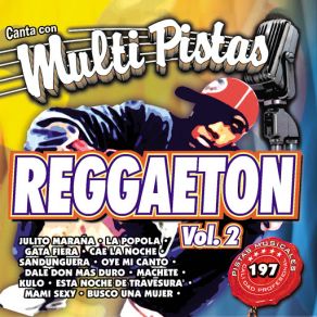 Canta Con Multi Pistas Reggaeton Vol. 2 album cover