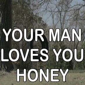 Your Man Loves You Honey - Tribute To Tom T. Hall album cover