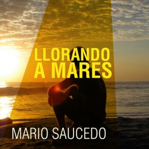 Llorando A Mares album cover