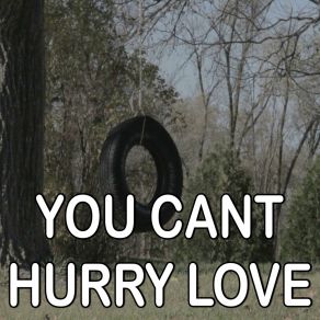 You Can't Hurry Love - Tribute To Stray Cats album cover