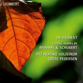 Im Herbst - Choral Works By Brahms & Schubert - Det Norske Solistkor album cover