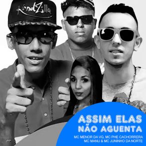 Assim Elas Não Aguenta (Single) album cover