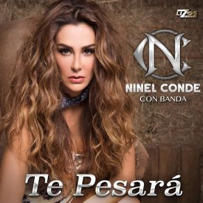 Te Pesará (Single) album cover