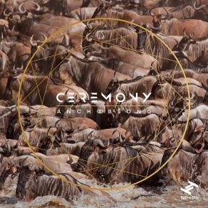 Ceremony album cover
