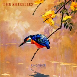 Kingfisher album cover