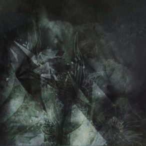 'Vhen La Belle Melodia De Astraloceana Ghostship Brought Me To The Forest Of Fatalia album cover