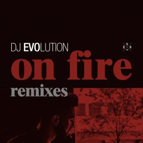 On Fire (Remixes) album cover