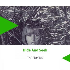 Hide And Seek album cover
