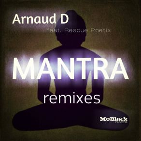 Mantra Remixes album cover