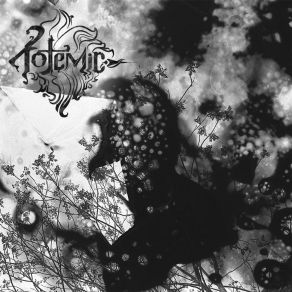 Continuous Cycle album cover