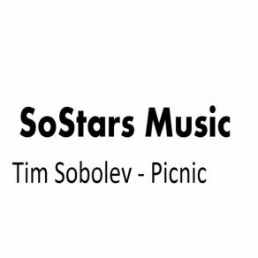 Picnic (Original Mix) album cover