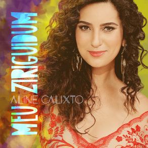 Meu Ziriguidum album cover