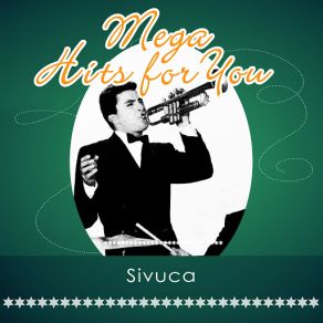Mega Hits For You album cover