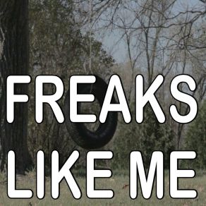 Freaks Like Me - Tribute To Joe Nichols album cover
