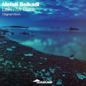 Leiki / Mr. Black album cover