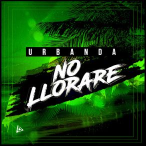 No Llorare album cover