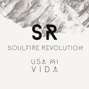 Usa Mi Vida album cover