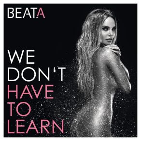 We Don't Have To Learn album cover