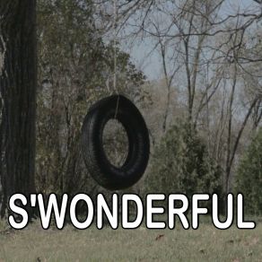 S'Wonderful - Tribute To Diana Krall album cover