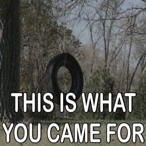 This Is What You Came For - Tribute To Calvin Harris And Rihanna album cover
