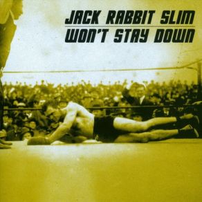 Won’t Stay Down album cover