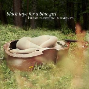 These Fleeting Moments album cover