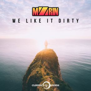 We Like It Dirty album cover