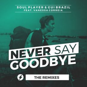 Never Say Goodbye (The Remixes) album cover
