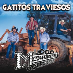 Gatitos Traviesos (Single) album cover