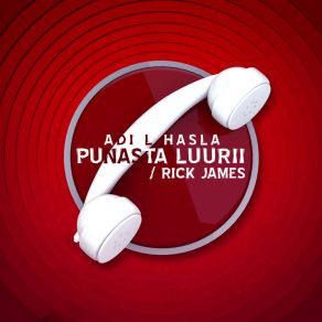 Punasta Luurii / Rick James album cover