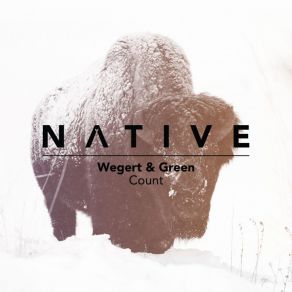 Count album cover