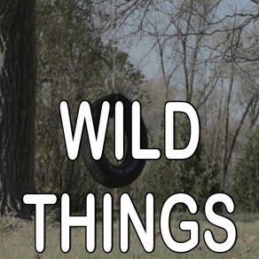 Wild Things - Tribute To Alessia Cara album cover