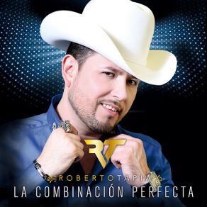 La Combinación Perfecta (Single) album cover