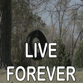 Live Forever - Tribute To The Band Perry album cover