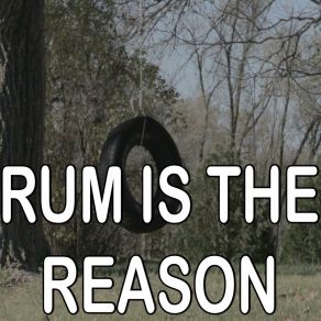 Rum Is The Reason - Tribute To Toby Keith album cover