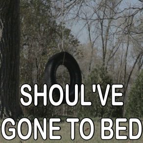 Should've Gone To Bed - Tribute To Plain White T's album cover
