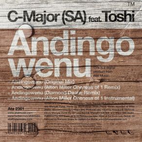 Andingowenu album cover
