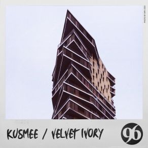 Velvet Ivory album cover