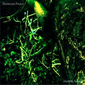 Alameda Solidao album cover