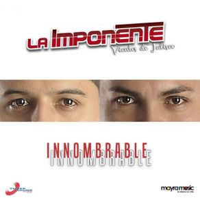 Innombrable (Single) album cover